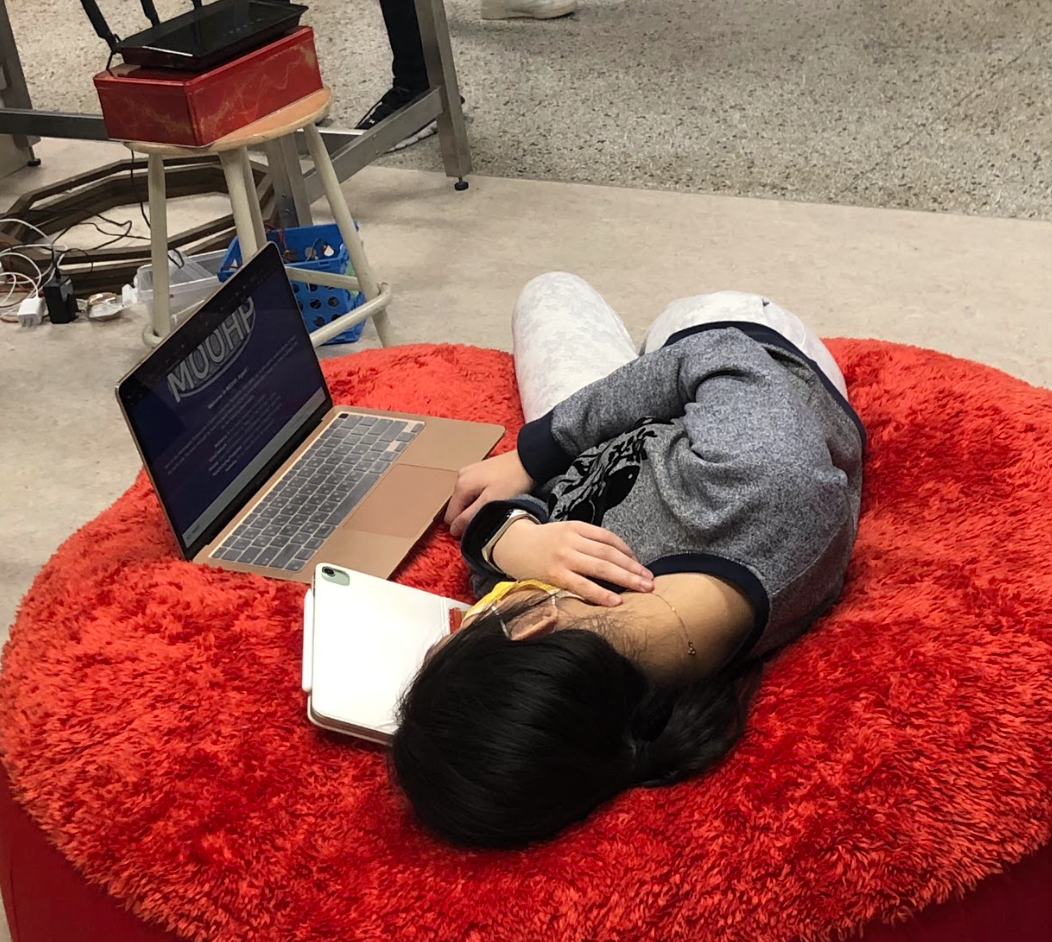 Carolyn working on the MOOHP page on the red couch